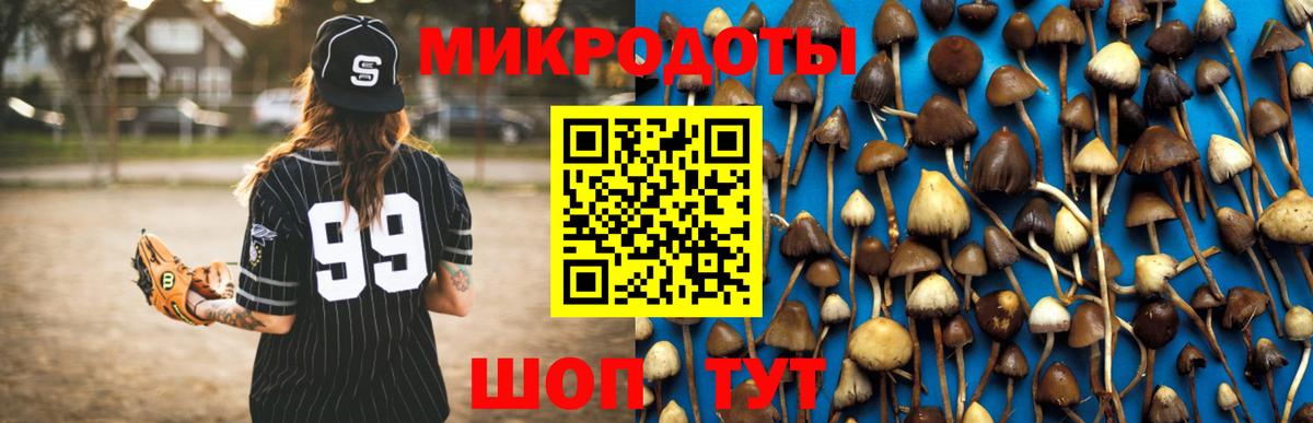 Псилоцибиновые грибы Magic Shrooms  Псилоцибиновые грибы GOLDEN TEACHER  хочу   Удомля  Вход с VPN 